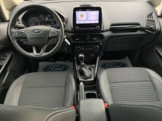 FORD EcoSport usata, con Volante in pelle