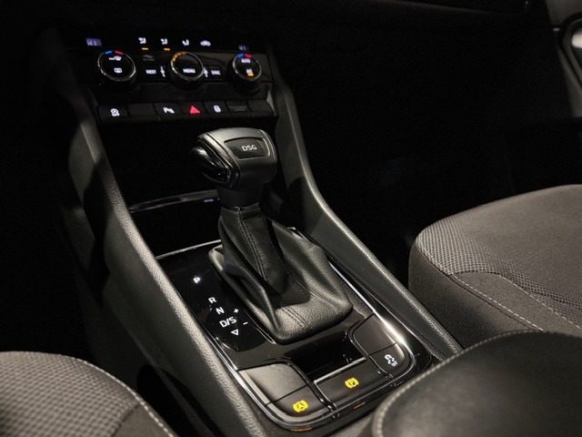 SKODA Kodiaq usata, con Vetri oscurati