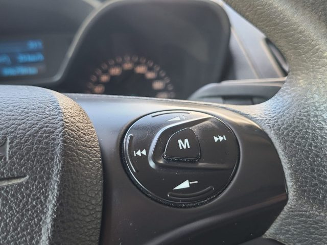 FORD Transit Connect usata, con Volante multifunzione