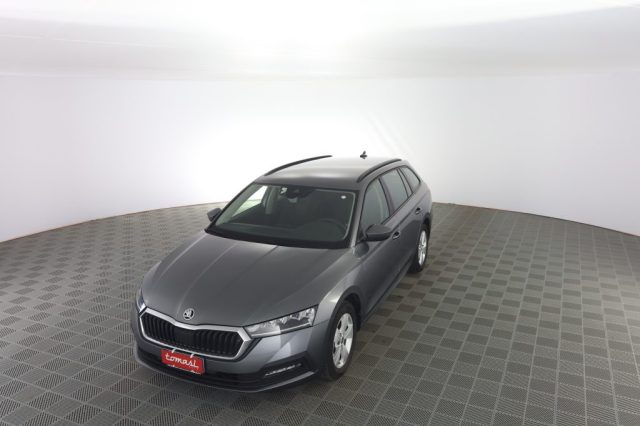 SKODA Octavia usata 4