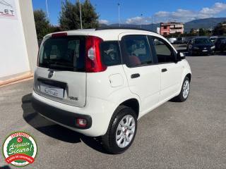 FIAT Panda usata, con Airbag Passeggero