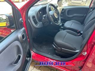 FIAT Panda usata, con Controllo trazione