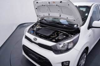 KIA Picanto usata 26
