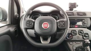 FIAT Panda usata 40