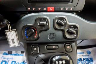 FIAT Panda usata 25