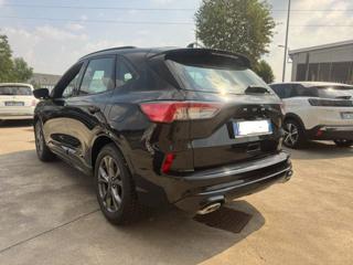 FORD Kuga usata, con Alzacristalli elettrici