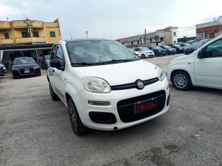 FIAT Panda usata, con Airbag Passeggero