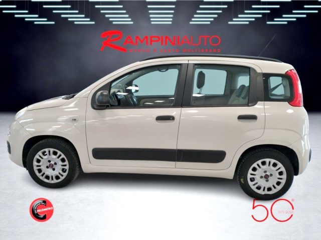 FIAT Panda usata 11
