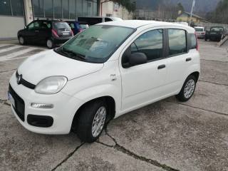 FIAT Panda usata, con Climatizzatore
