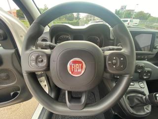 FIAT Panda Cross usata, con Airbag testa