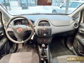FIAT Punto usata 19