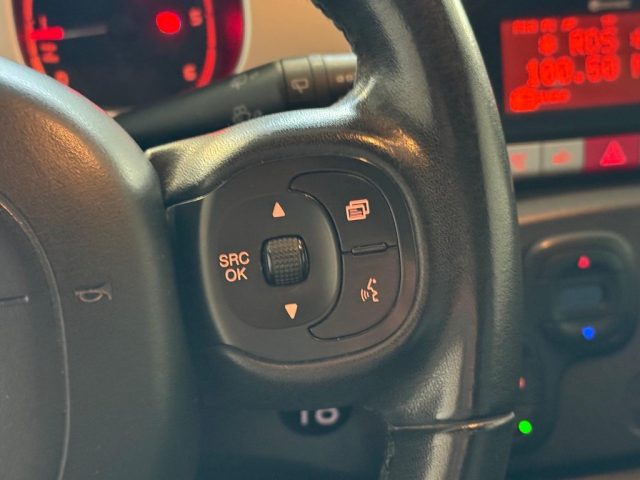 FIAT Panda Cross usata, con Servosterzo