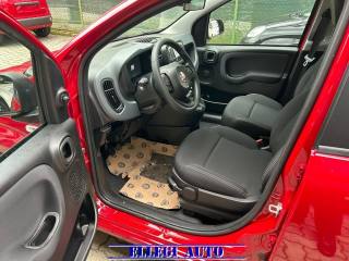 FIAT Panda usata, con Controllo elettronico della corsia