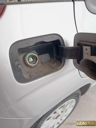 FIAT Panda usata, con Fendinebbia