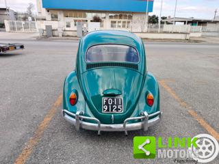 VOLKSWAGEN Maggiolino usata 5