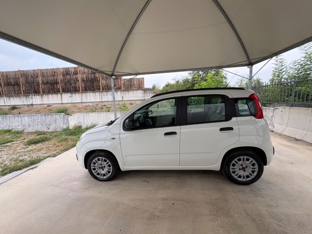 FIAT Panda usata, con Chiusura centralizzata