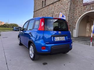 FIAT Panda usata 56