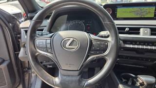 LEXUS UX 250h usata, con Vetri oscurati