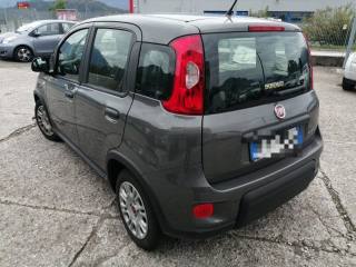 FIAT Panda usata, con Climatizzatore