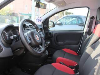 FIAT Panda usata, con Climatizzatore