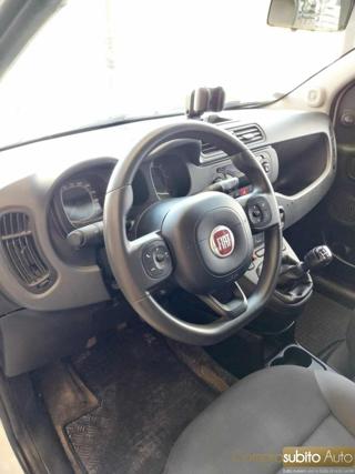 FIAT Panda usata 17