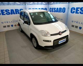 FIAT New Panda 1.0 firefly hybrid 70cv 5 posti