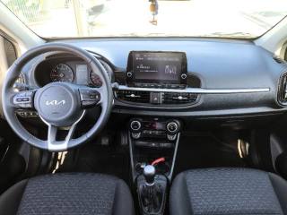 KIA Picanto usata 4