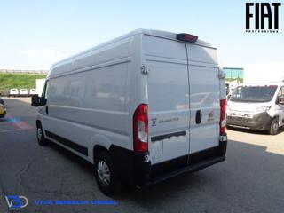 FIAT Ducato usata, con Cruise Control
