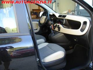 FIAT Panda usata 11
