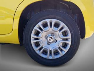 FIAT Pandina usata, con Climatizzatore