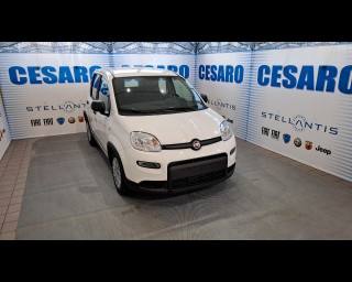 FIAT New Panda 1.0 firefly hybrid 70cv