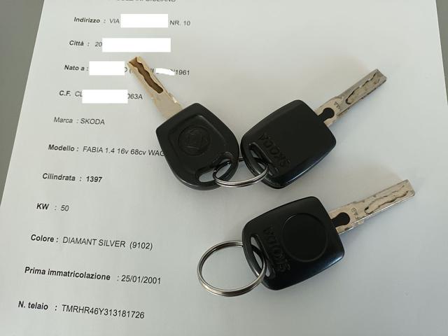 SKODA Fabia usata 47