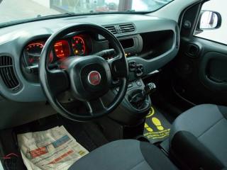 FIAT Panda usata, con Vetri oscurati