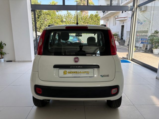 FIAT Panda usata, con Climatizzatore