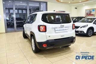 JEEP Renegade usata, con Cerchi in lega