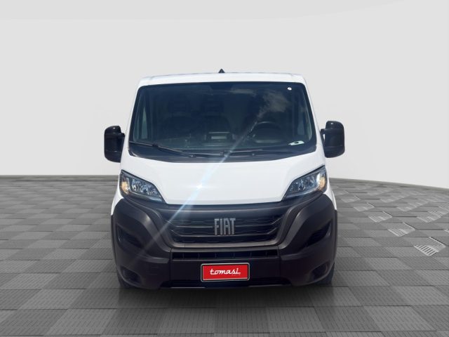 FIAT Ducato usata 7