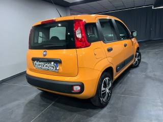 FIAT Panda usata, con Airbag Passeggero