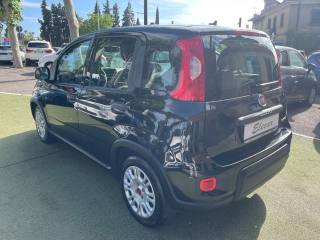 FIAT Panda usata, con Antifurto