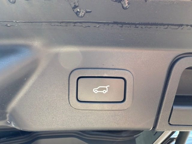 LAND ROVER Range Rover Velar usata, con Cruise Control