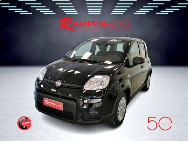 FIAT Panda usata 1