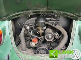 VOLKSWAGEN Maggiolino usata 10