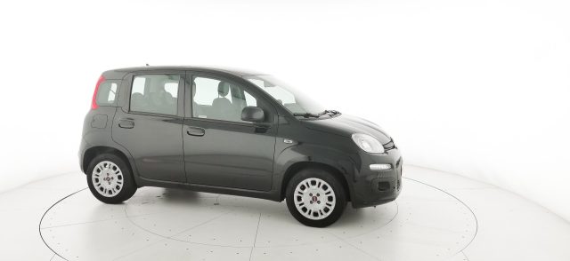 FIAT Panda usata 37