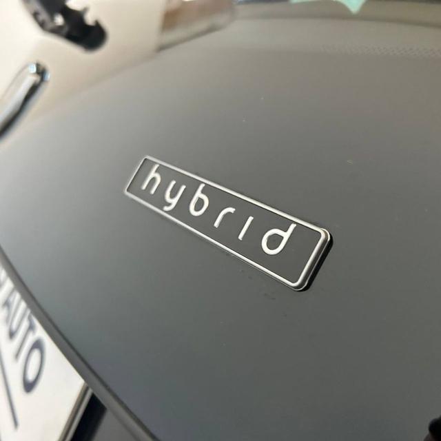 LANCIA Ypsilon usata, con Vivavoce