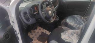 FIAT Panda usata, con Alzacristalli elettrici