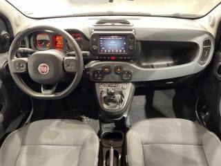 FIAT Panda Cross usata, con Specchietti laterali elettrici