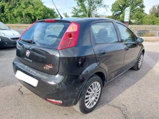 FIAT Punto usata 5