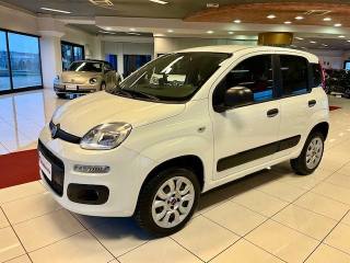 FIAT Panda usata, con Climatizzatore