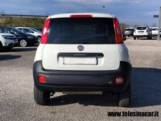FIAT Panda usata, con Immobilizzatore elettronico