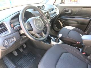 JEEP Renegade usata, con Cronologia tagliandi