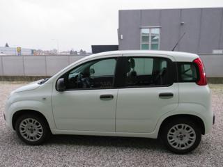 FIAT Panda usata, con Airbag
